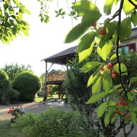 Les Jardins De Lily Hotel Saint-Léonard-de-Noblat Exterior foto