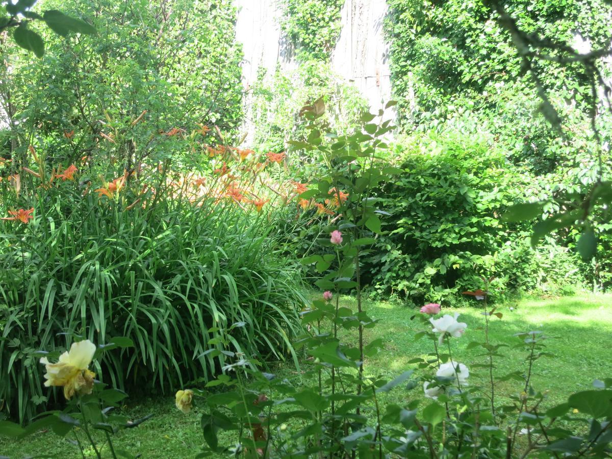 Les Jardins De Lily Hotel Saint-Léonard-de-Noblat Exterior foto