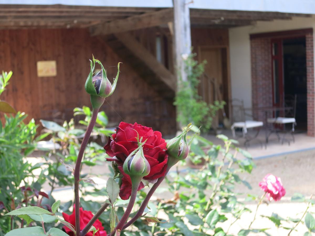 Les Jardins De Lily Hotel Saint-Léonard-de-Noblat Exterior foto
